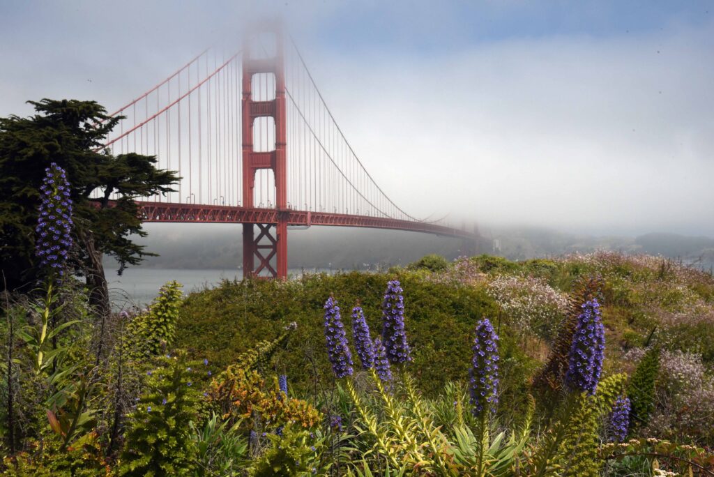 Golden Gate, San Francisco