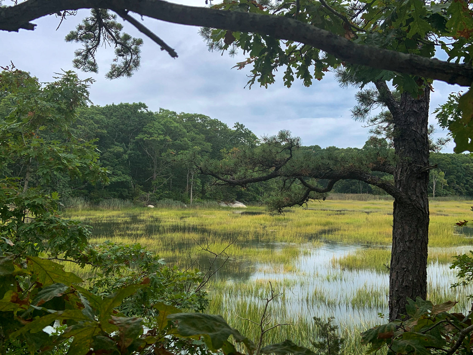 Washburn Preserve, Stony Creek, CT