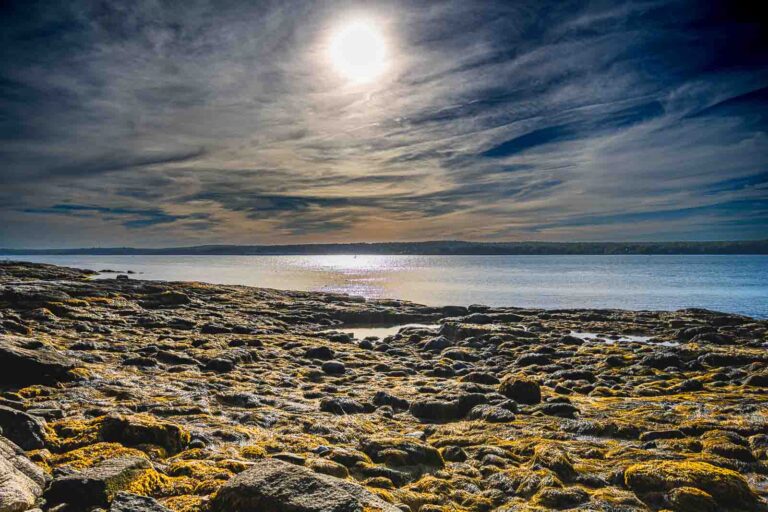 October reveries: Tracking the edge of the sea in Phippsburg, Maine