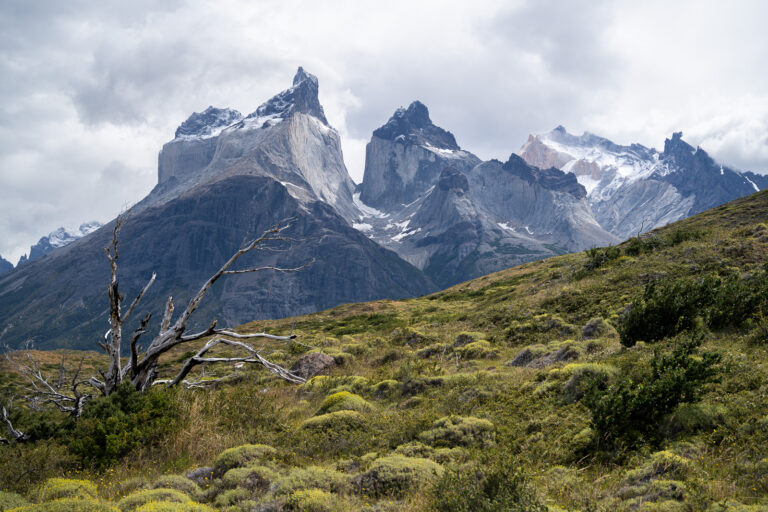 In pursuit of Neruda’s Chile